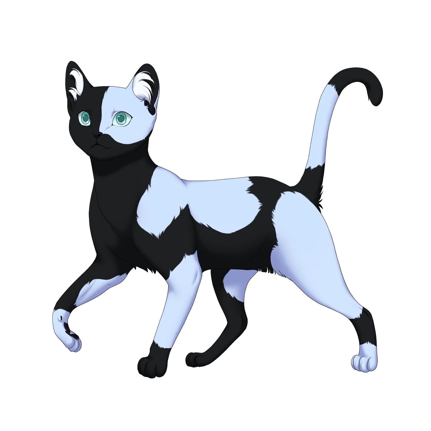 The cat is a black cat with light blue splotches and blue-green eyes. They are standing and alert.