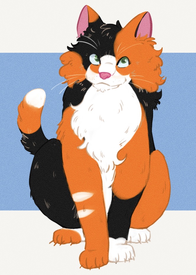 Rustyclaw is a black and white cat with orange splotches and green eyes.