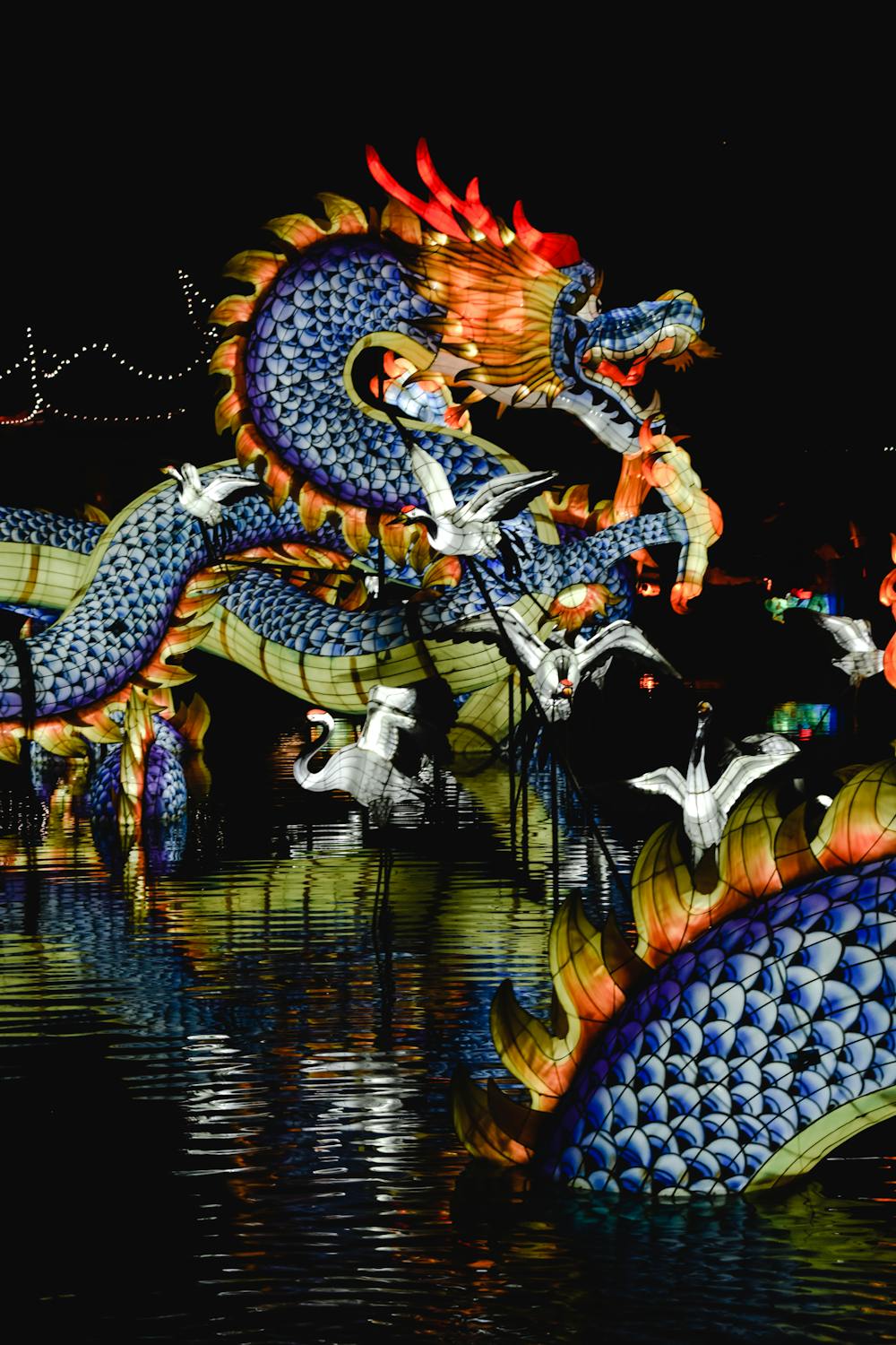 A blue, yellow, and red Eastern dragon light display over water in the night. There are smaller white light-up cranes around as well.