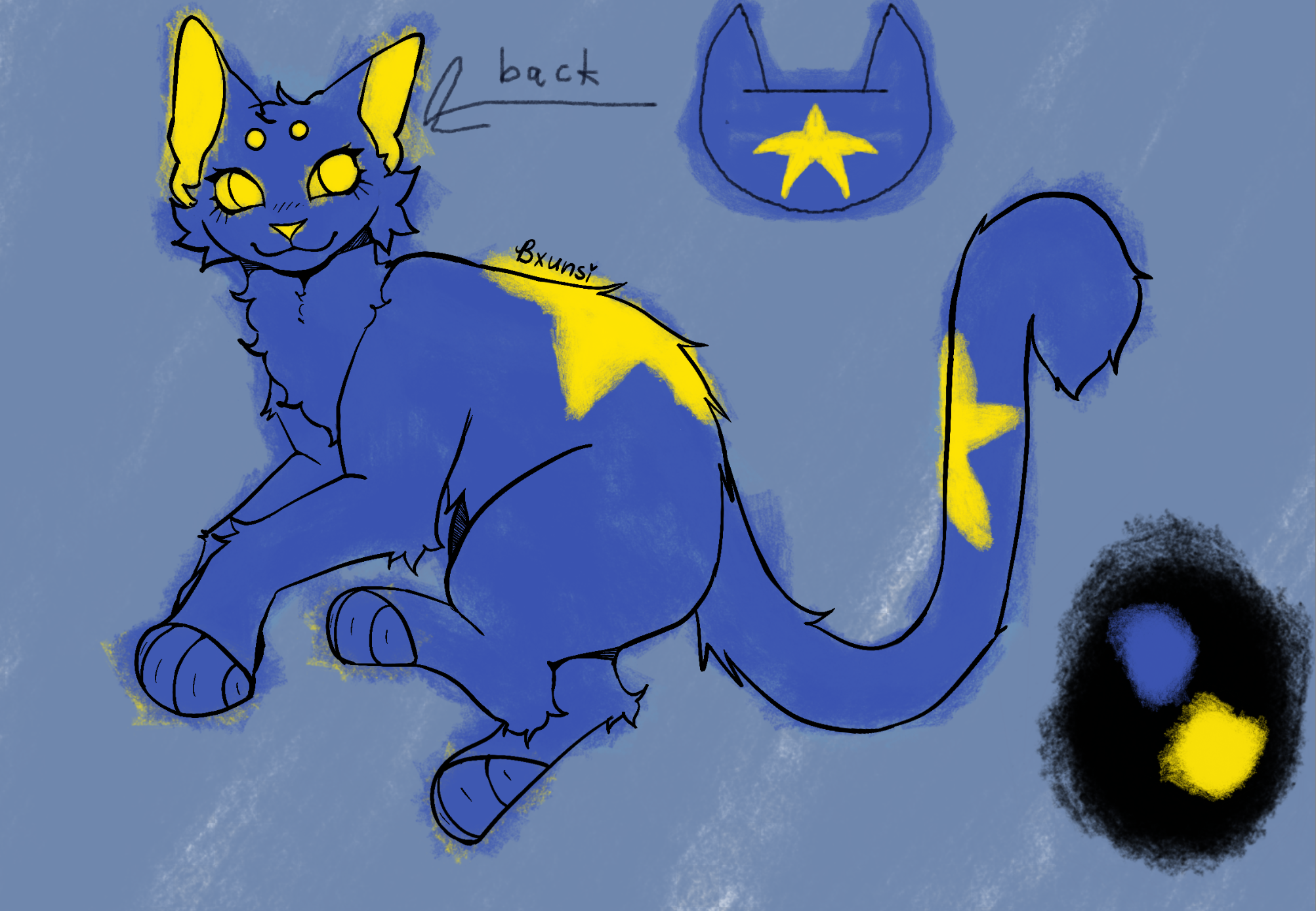 Era is a blue cat with yellow star markings on the back of the head, middle of the back, and middle of the tail. There are yellow ears, eyes, eyebrows, and nose.